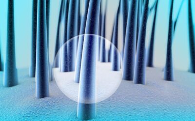 Ciclo di ricrescita dei capelli