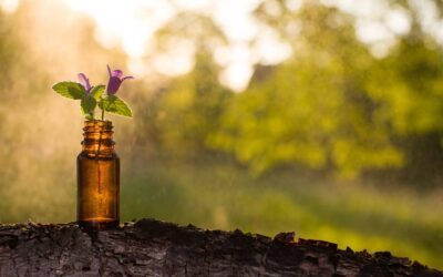 Come trattare l’alopecia androgenetica con i rimedi naturali